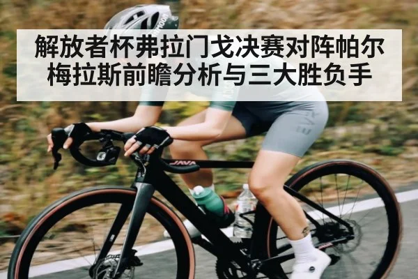 解放者杯弗拉门戈决赛对阵帕尔梅拉斯前瞻分析与三大胜负手
